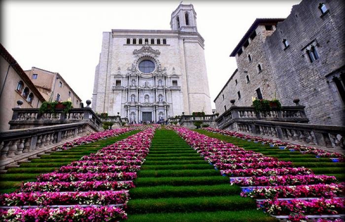 Transfer from Barcelona to Girona to visit temp de flors