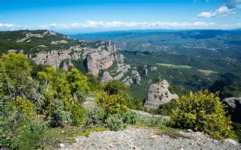 corporate transfers Catalonia